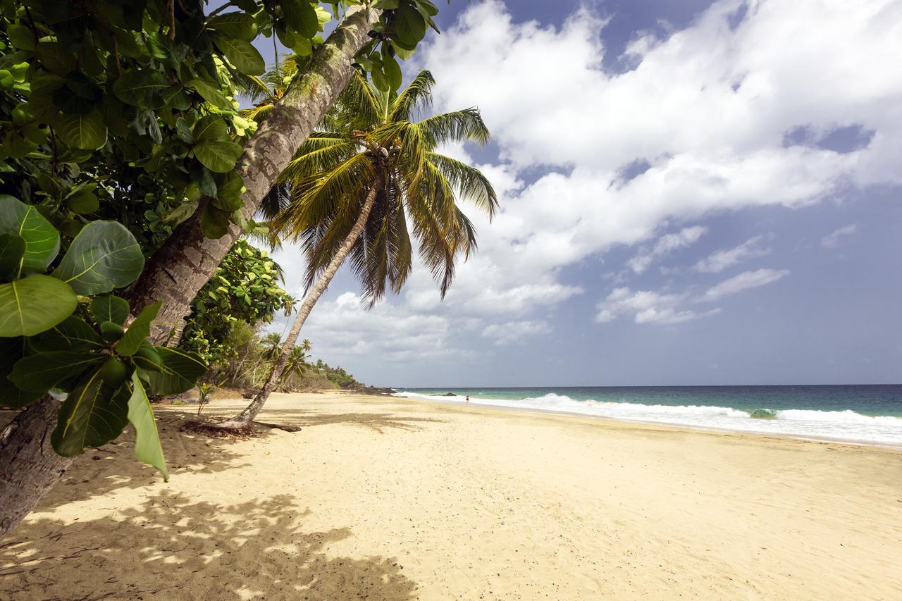 Grafton Beach Resort Black Rock Buitenkant foto