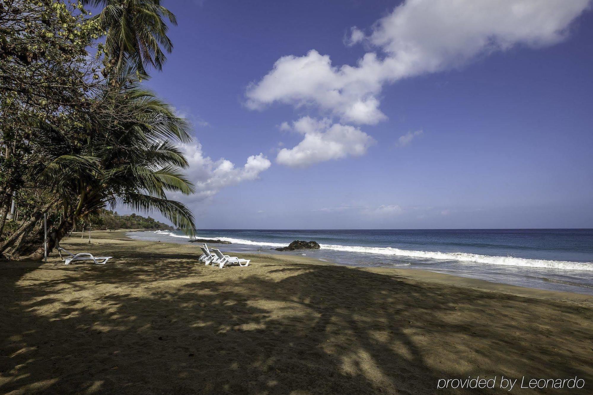 Grafton Beach Resort Black Rock Buitenkant foto