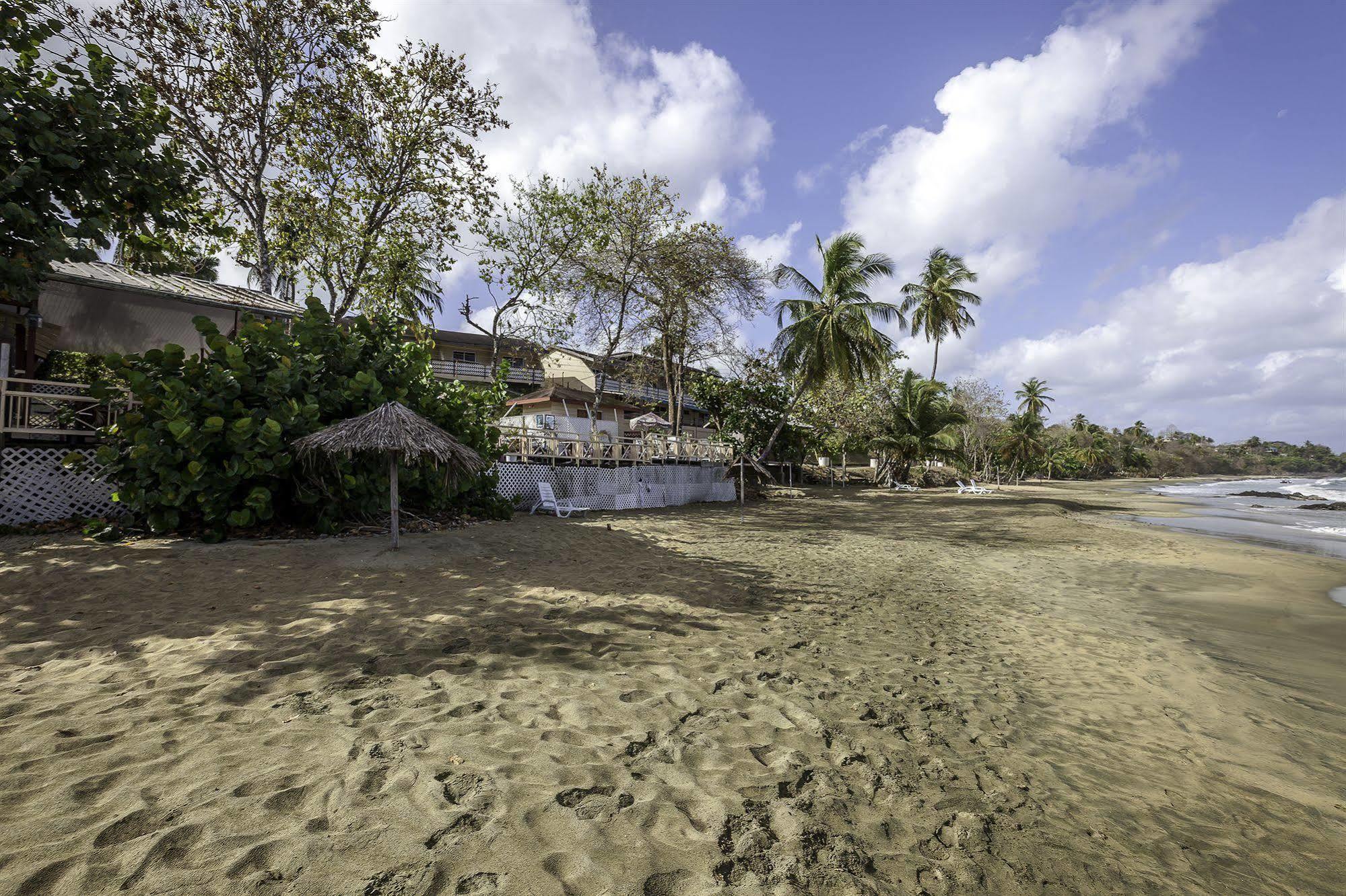 Grafton Beach Resort Black Rock Buitenkant foto