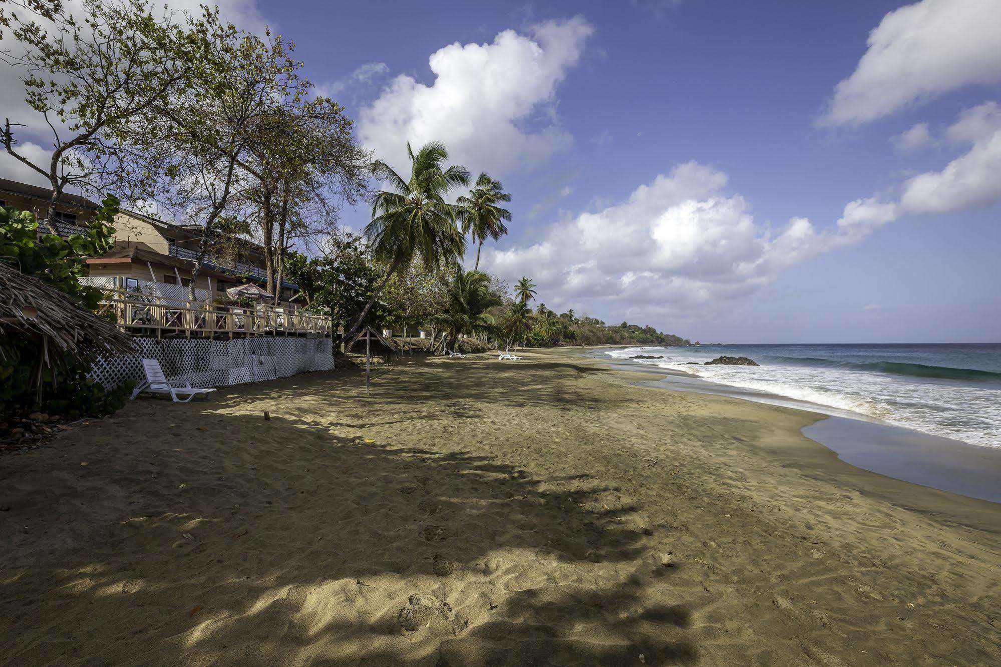 Grafton Beach Resort Black Rock Buitenkant foto